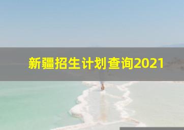 新疆招生计划查询2021