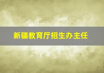 新疆教育厅招生办主任