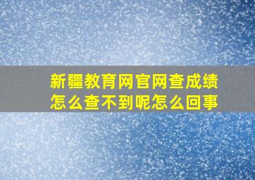 新疆教育网官网查成绩怎么查不到呢怎么回事