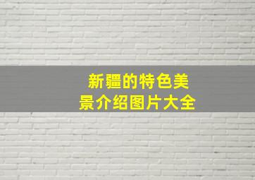 新疆的特色美景介绍图片大全