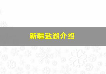 新疆盐湖介绍