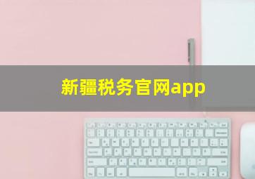 新疆税务官网app