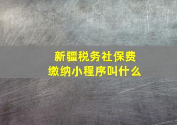 新疆税务社保费缴纳小程序叫什么