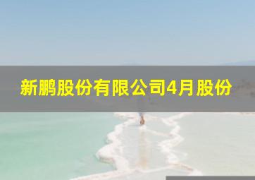 新鹏股份有限公司4月股份