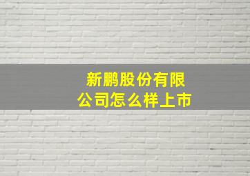 新鹏股份有限公司怎么样上市