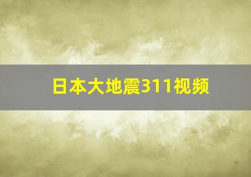 日本大地震311视频