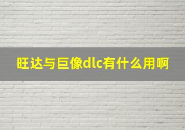 旺达与巨像dlc有什么用啊