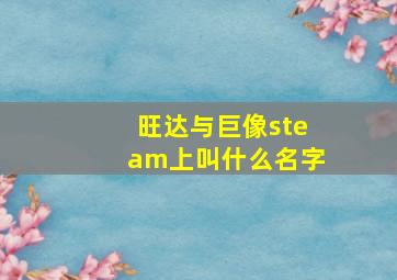 旺达与巨像steam上叫什么名字