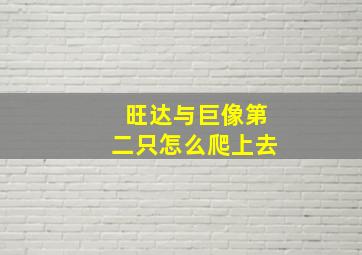 旺达与巨像第二只怎么爬上去