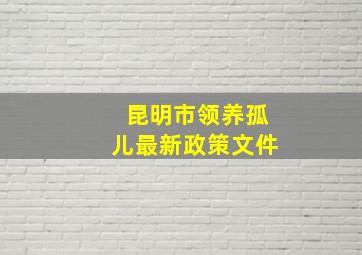 昆明市领养孤儿最新政策文件