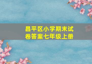 昌平区小学期末试卷答案七年级上册