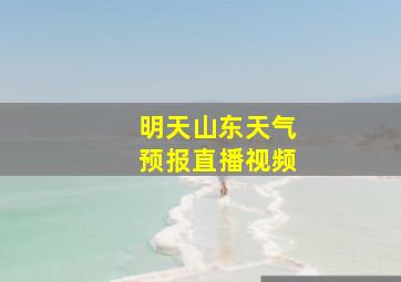 明天山东天气预报直播视频