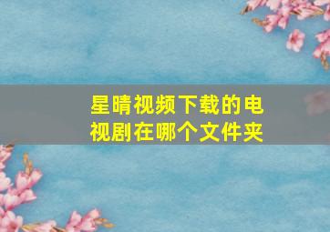 星晴视频下载的电视剧在哪个文件夹