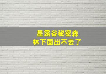 星露谷秘密森林下面出不去了