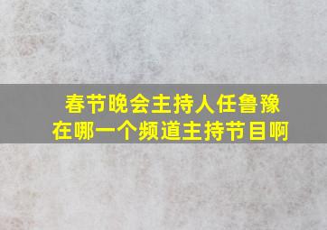 春节晚会主持人任鲁豫在哪一个频道主持节目啊