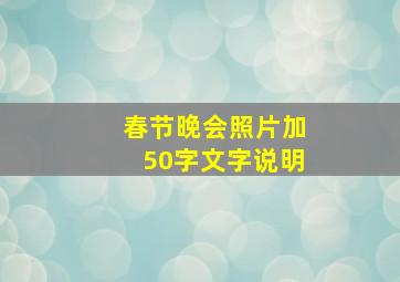 春节晚会照片加50字文字说明