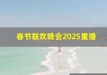 春节联欢晚会2025重播