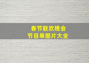 春节联欢晚会节目单图片大全