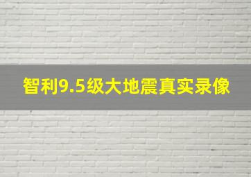 智利9.5级大地震真实录像