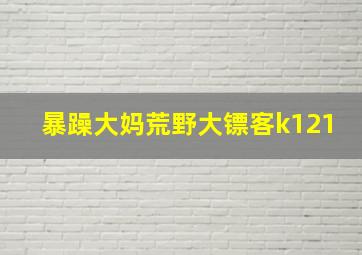 暴躁大妈荒野大镖客k121