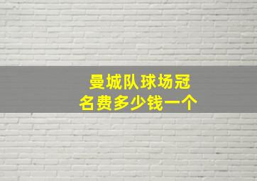 曼城队球场冠名费多少钱一个