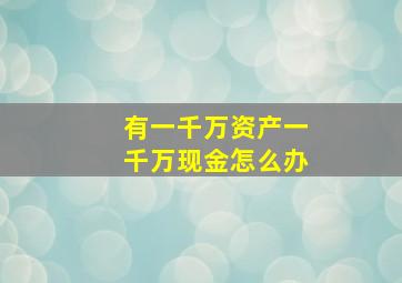 有一千万资产一千万现金怎么办