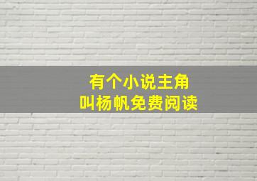 有个小说主角叫杨帆免费阅读