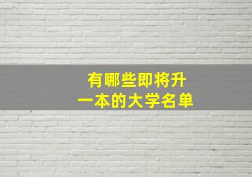 有哪些即将升一本的大学名单