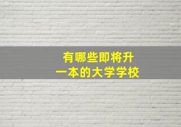 有哪些即将升一本的大学学校