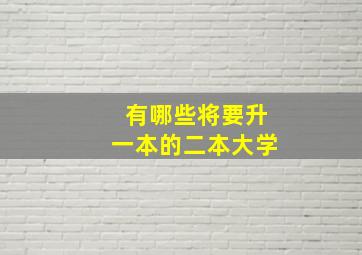 有哪些将要升一本的二本大学