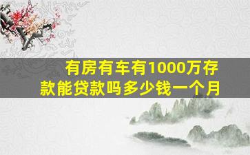 有房有车有1000万存款能贷款吗多少钱一个月