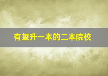 有望升一本的二本院校