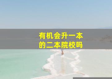 有机会升一本的二本院校吗