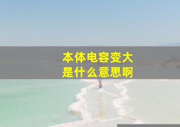 本体电容变大是什么意思啊