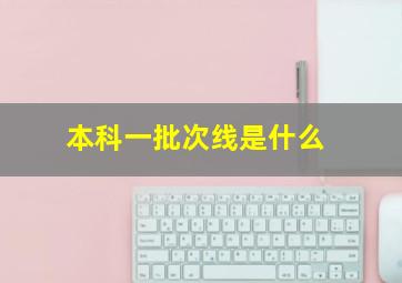 本科一批次线是什么