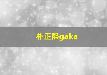 朴正熙gaka