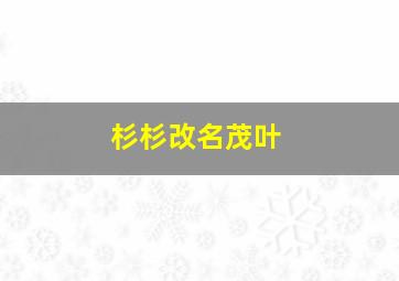 杉杉改名茂叶