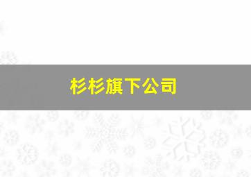 杉杉旗下公司