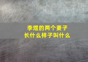 李煜的两个妻子长什么样子叫什么