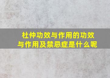 杜仲功效与作用的功效与作用及禁忌症是什么呢