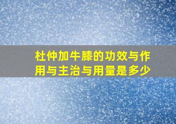 杜仲加牛膝的功效与作用与主治与用量是多少