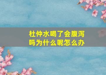 杜仲水喝了会腹泻吗为什么呢怎么办