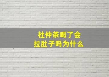 杜仲茶喝了会拉肚子吗为什么