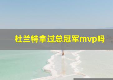 杜兰特拿过总冠军mvp吗