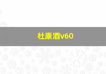 杜康酒v60