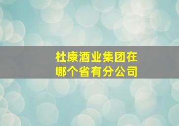 杜康酒业集团在哪个省有分公司