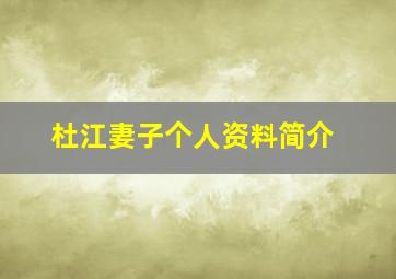 杜江妻子个人资料简介