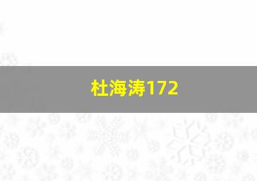 杜海涛172