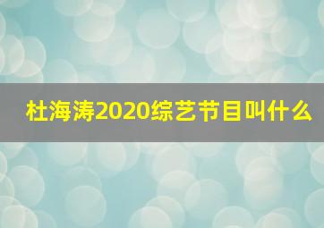 杜海涛2020综艺节目叫什么