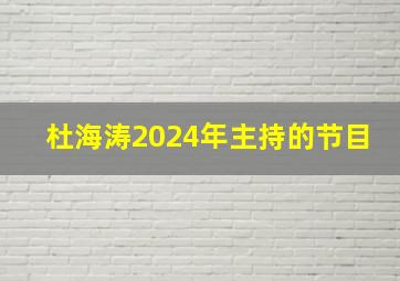 杜海涛2024年主持的节目